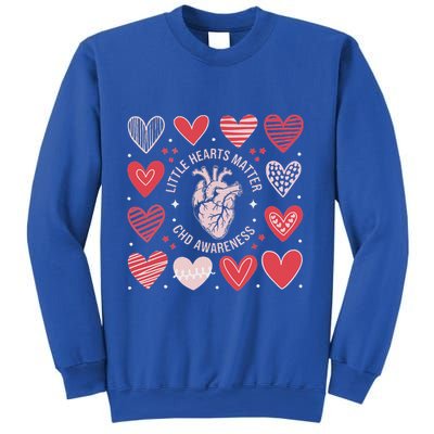 Heart Anatomy Valentine Little Heart Matter Chd Awareness Sweatshirt