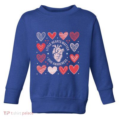 Heart Anatomy Valentine Little Heart Matter Chd Awareness Toddler Sweatshirt