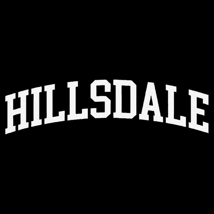 Hillsdale Arch Vintage Retro College Athletic Sports Backpack