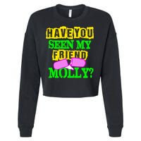 Have You Seen My Friend Molly Cropped Pullover Crew