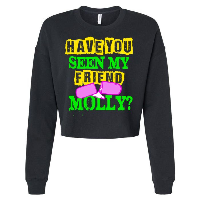 Have You Seen My Friend Molly Cropped Pullover Crew