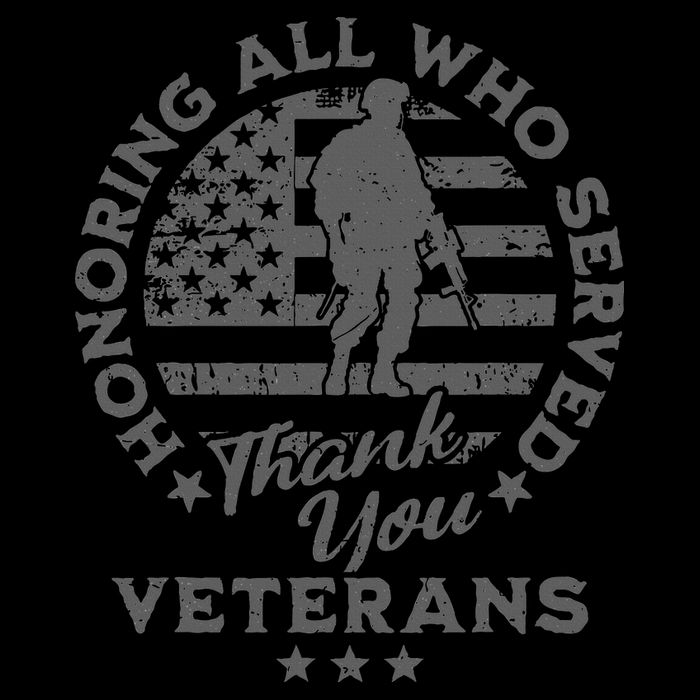 Honoring All Who Served Thank You Veterans Day American Flag T-Shirt
