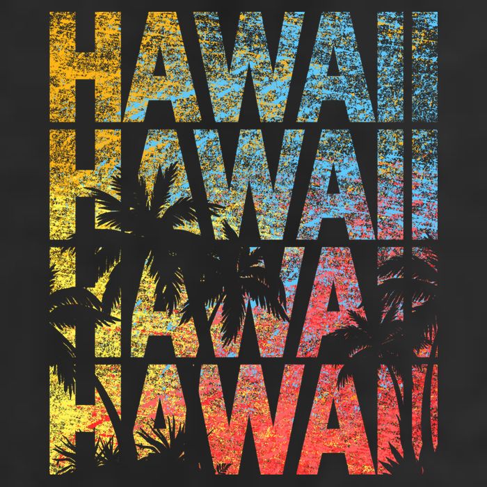 Hawaii Logo Adult Drive Performance Visor