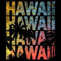 Hawaii Logo Visor