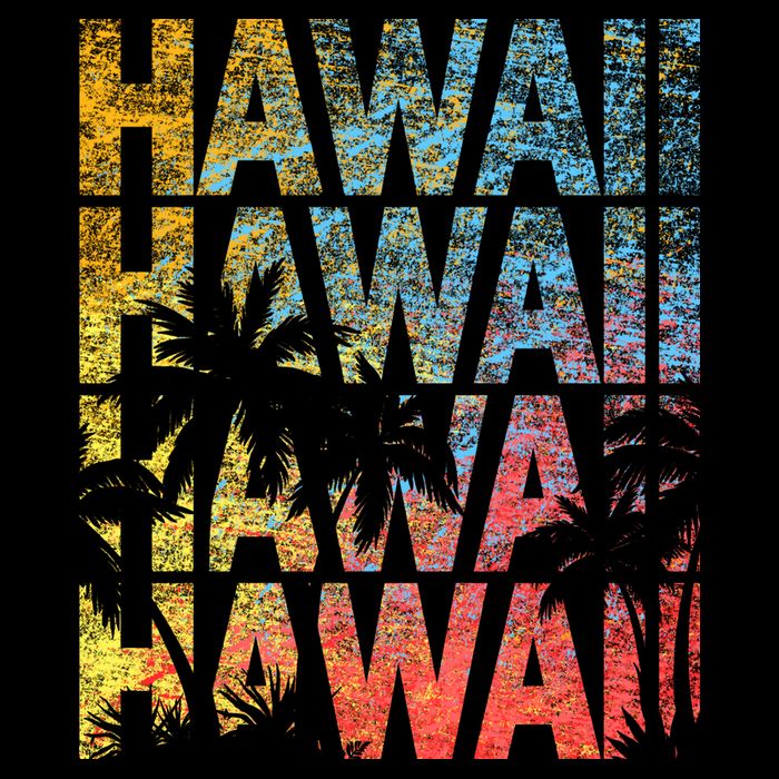 Hawaii Logo Visor