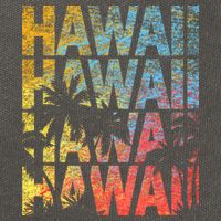Hawaii Logo Cotton Canvas Backpack