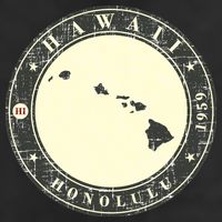 Hawaii Retro 25L Jumbo Tote