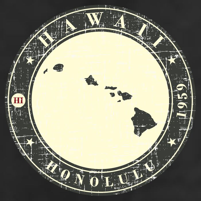Hawaii Retro 25L Jumbo Tote