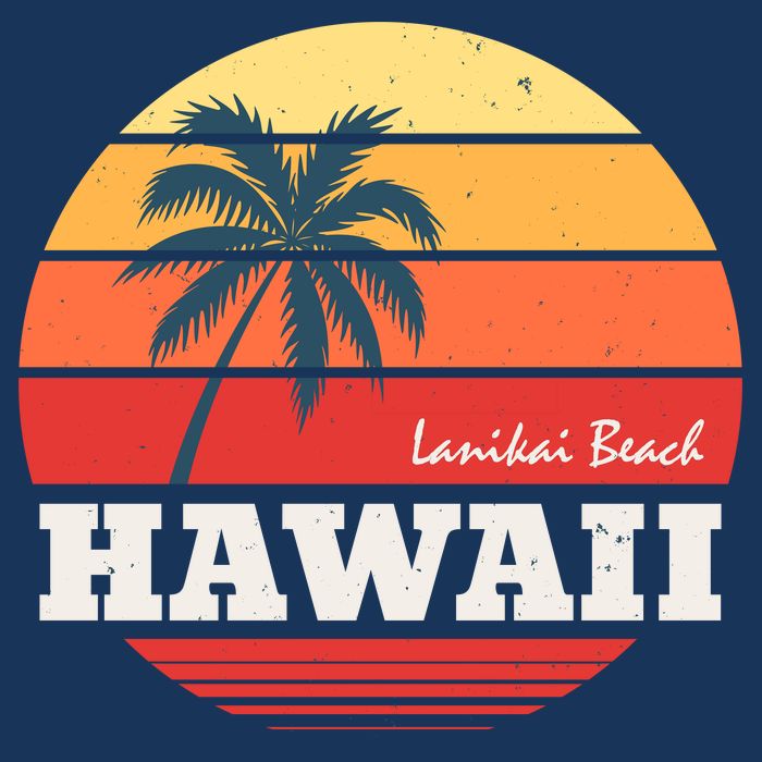 Hawaii Retro Circle 25L Jumbo Tote