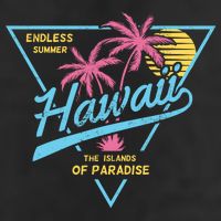 Hawaii Retro Classic  11oz C Handle Ceramic Mug