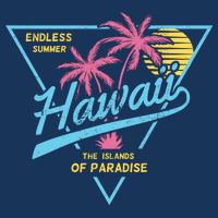 Hawaii Retro Classic  Beanie
