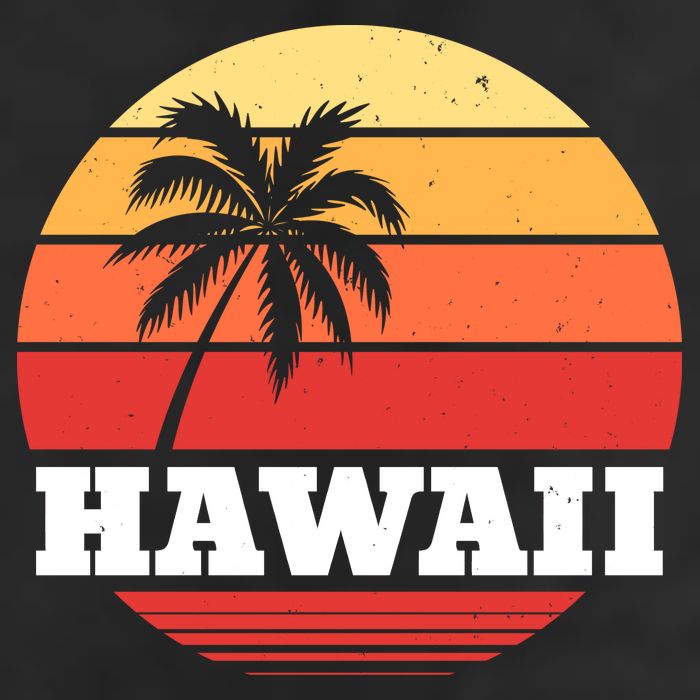 Hawaii Retro Sun Beanie