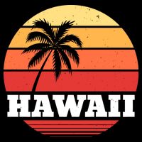 Hawaii Retro Sun 16 in Basic Backpack