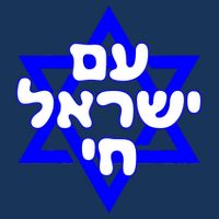 Hebrew Am Yisrael Chai Israel Magen David 7 Panel Mesh Trucker Snapback Hat
