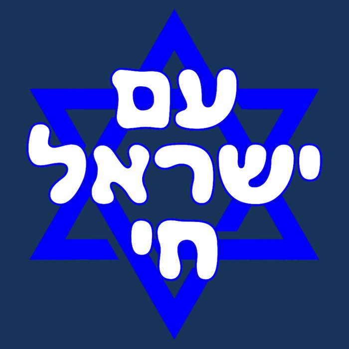 Hebrew Am Yisrael Chai Israel Magen David 7 Panel Mesh Trucker Snapback Hat