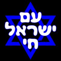 Hebrew Am Yisrael Chai Israel Magen Davi Hoodie