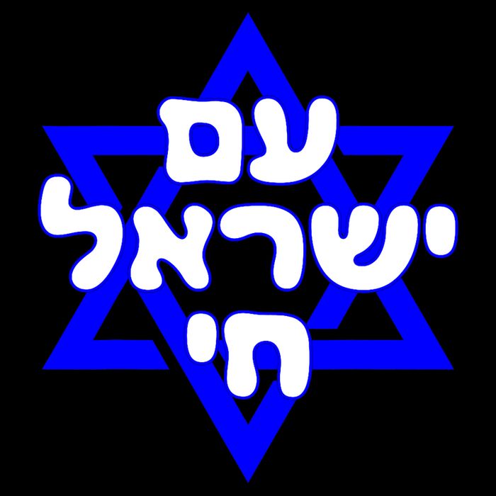 Hebrew Am Yisrael Chai Israel Magen Davi Hoodie