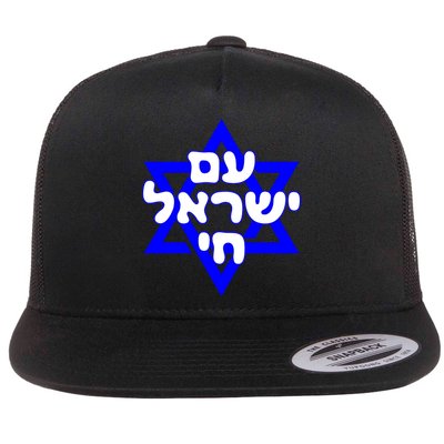 Hebrew Am Yisrael Chai Israel Magen Davi Flatbill Hat