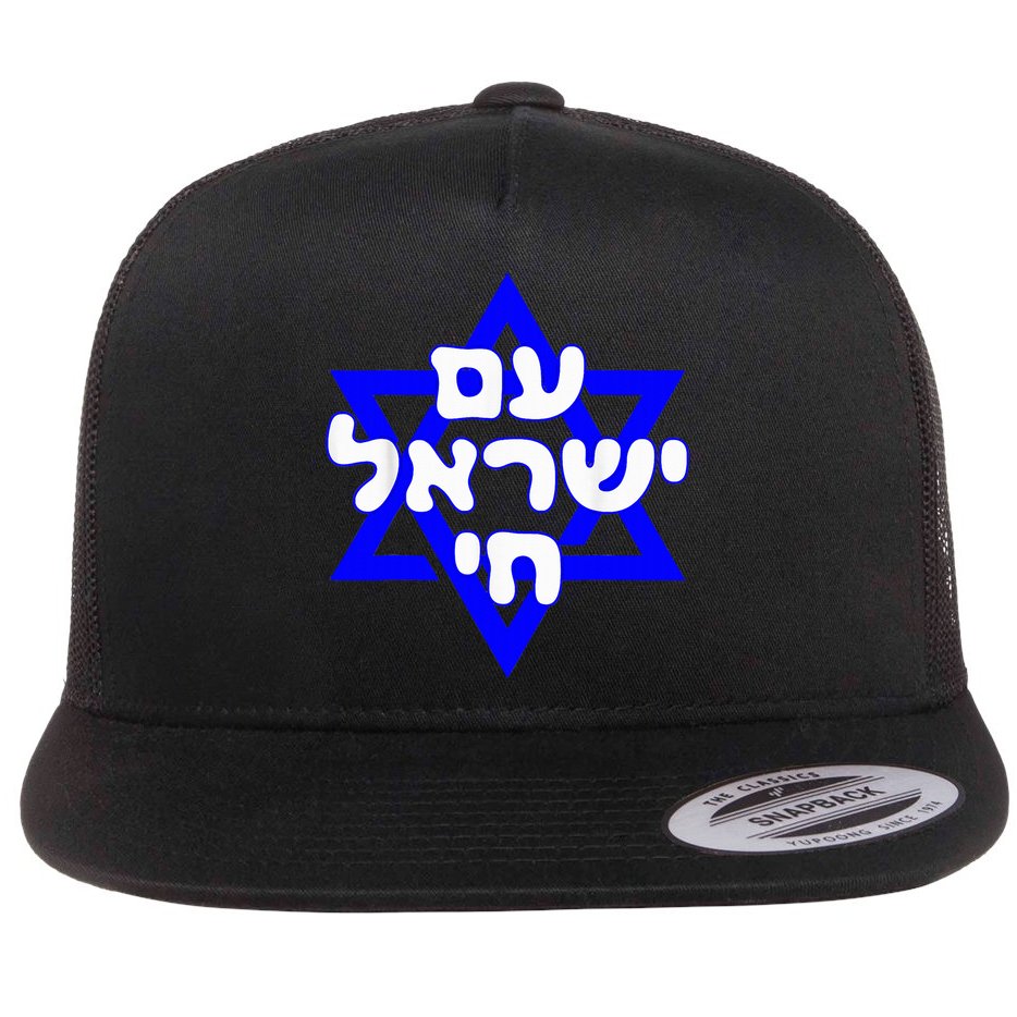 Hebrew Am Yisrael Chai Israel Magen David  Flat Bill Trucker Hat