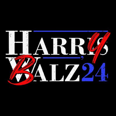 Harry Balz 2024 Funny Kamala Harris And Tim Walz 2024 Gift T-Shirt