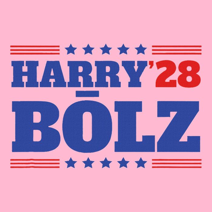 Harry Bolz 2028 Political Meme D.O.G.E. Kids T-Shirt