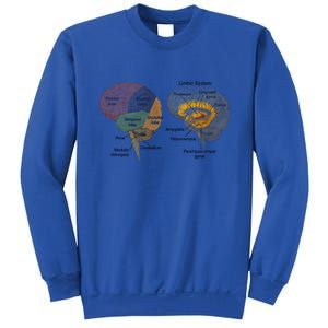 Hu Brain Anatomy Design Gift Idea Gift Sweatshirt