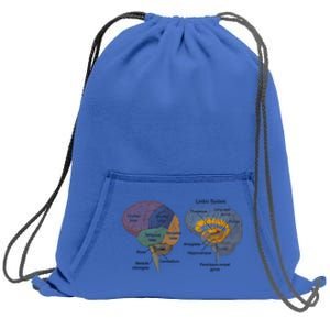 Hu Brain Anatomy Design Gift Idea Gift Sweatshirt Cinch Pack Bag