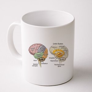 Hu Brain Anatomy Design Gift Idea Gift Coffee Mug