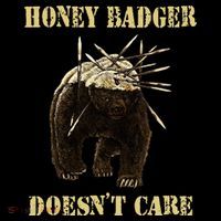 Honey Badger Adorable Animal Honey Badger DoesnT Care Women's V-Neck T-Shirt