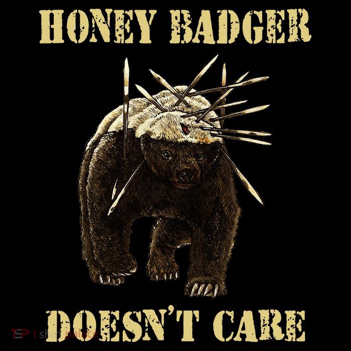 Honey Badger Adorable Animal Honey Badger DoesnT Care Women's V-Neck T-Shirt
