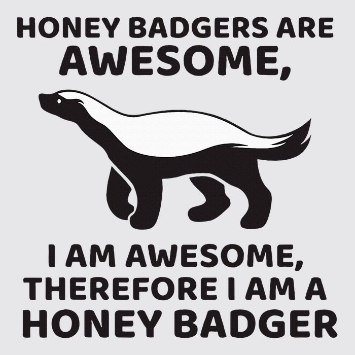 Honey Badgers Are Awesome Therefore I Am A Honey Badger Womens Funnel Neck Pullover Hood