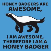 Honey Badgers Are Awesome Therefore I Am A Honey Badger Tie Dye Hoodie