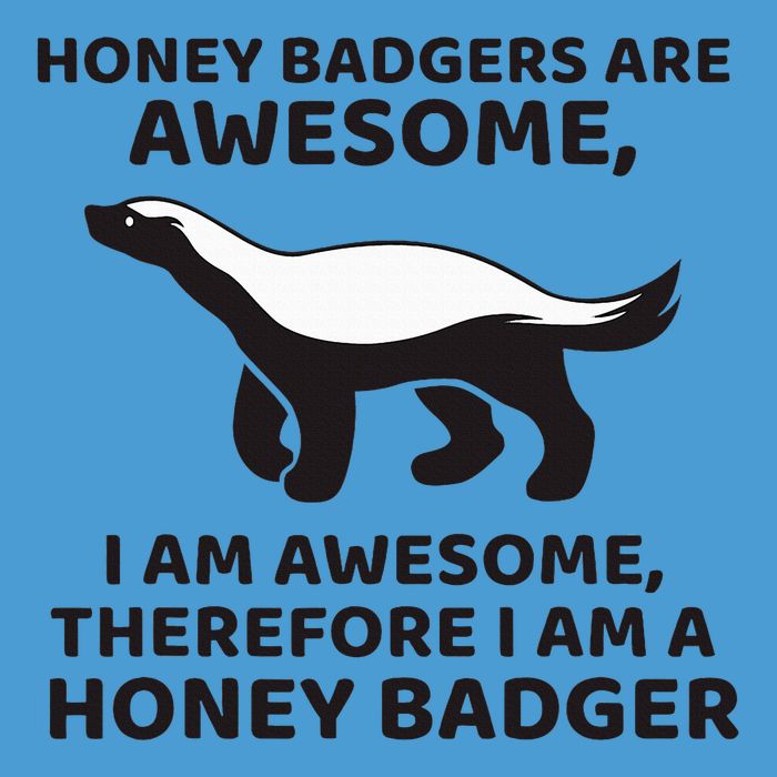 Honey Badgers Are Awesome Therefore I Am A Honey Badger Tie Dye Hoodie