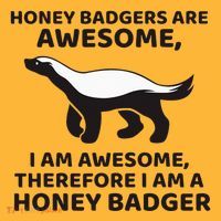 Honey Badgers Are Awesome Therefore I Am A Honey Badger Sustainable Knit Beanie