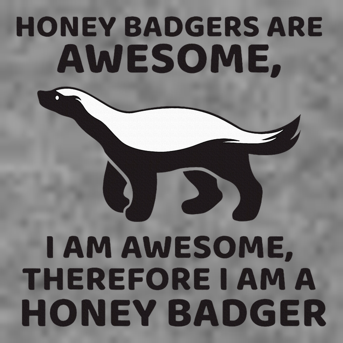 Honey Badgers Are Awesome Therefore I Am A Honey Badger Tall Hoodie