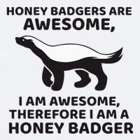 Honey Badgers Are Awesome Therefore I Am A Honey Badger Sueded Cloud Jersey T-Shirt