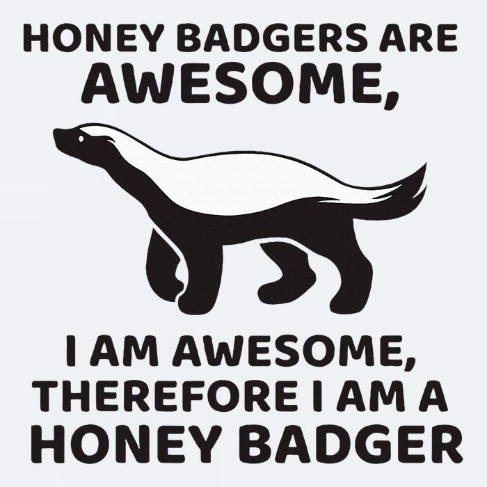 Honey Badgers Are Awesome Therefore I Am A Honey Badger Sueded Cloud Jersey T-Shirt