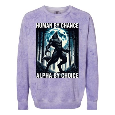 Human By Chance Alpha By Choice Cool Funny Alpha Wolf Meme Colorblast Crewneck Sweatshirt