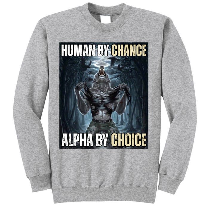 Human By Chance Alpha By Choice Funny Sweatshirt