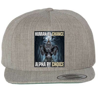 Human By Chance Alpha By Choice Funny Wool Snapback Cap