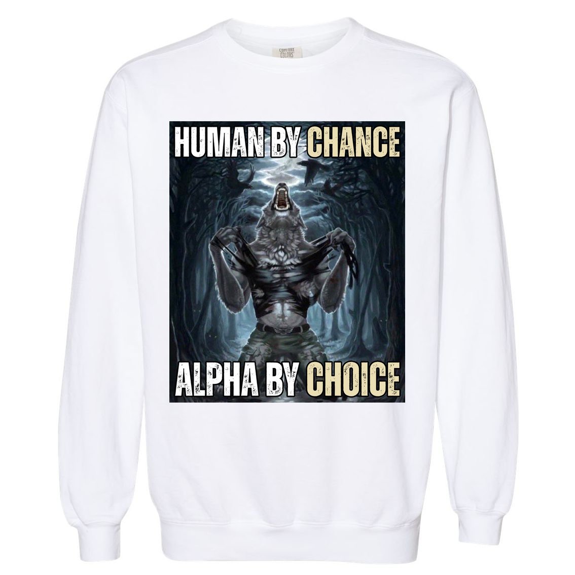 Human By Chance Alpha By Choice Funny Garment-Dyed Sweatshirt