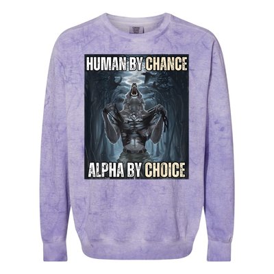 Human By Chance Alpha By Choice Cool Funny Alpha Wolf Meme Colorblast Crewneck Sweatshirt