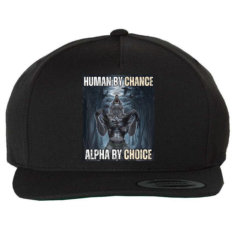 Human By Chance Alpha By Choice Cool Funny Alpha Wolf Meme Wool Snapback Cap