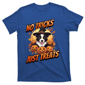 Halloween Border Collie Dog No Tricks Just Treats Gift T-Shirt