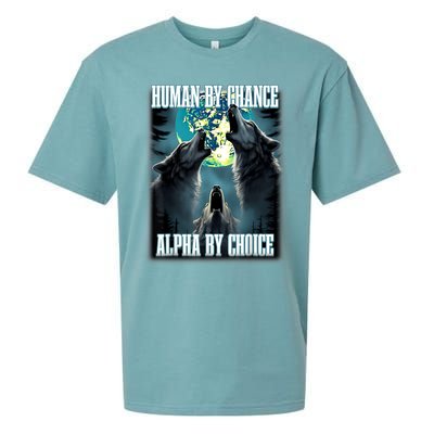 Human By Chance Alpha By Choice Funny Alpha Wolf Meme Sueded Cloud Jersey T-Shirt