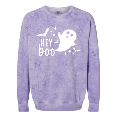 Hey Boo Cute Halloween Ghost Funny Autumn Fall Spooky Gift Colorblast Crewneck Sweatshirt