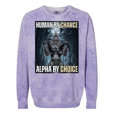 Human By Chance Alpha By Choice Funny Wolf Meme Colorblast Crewneck Sweatshirt