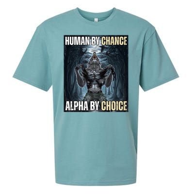 Human By Chance Alpha By Choice Funny Wolf Meme Sueded Cloud Jersey T-Shirt