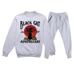 Halloween Black Cat Apothecary Retro Halloween Cat Premium Crewneck Sweatsuit Set