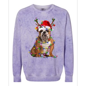 Hilarious Bulldog Christmas Pajama with Festive Tree Lights Colorblast Crewneck Sweatshirt